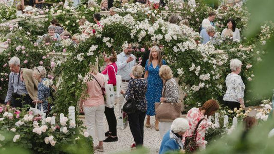 Raishma's Chelsea Flower Show Picks