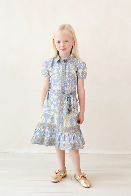 Rosey Blue Dress
