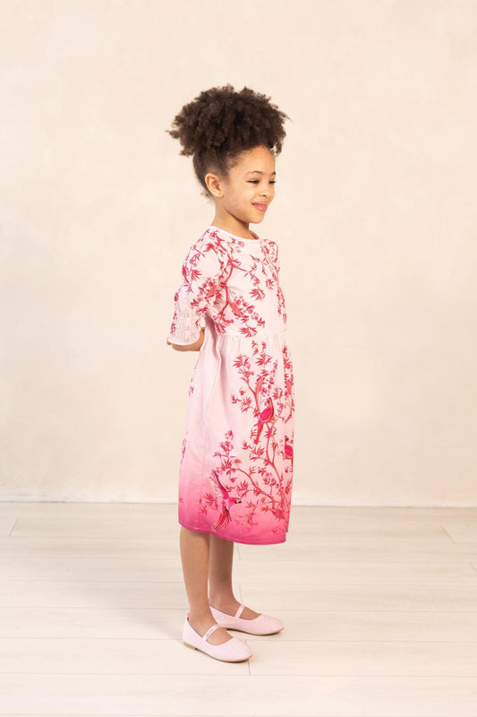 Misha Dress